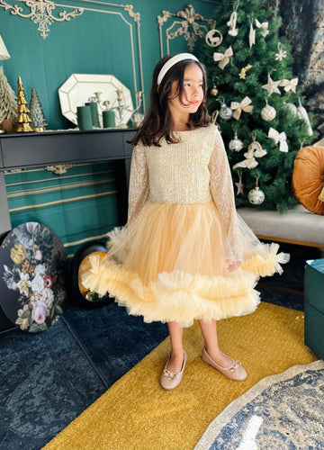 Robe sequin or jupon en tulle à froufrou